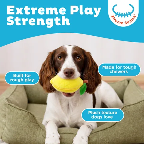 Outward Hound Xtreme Seamz 檸檬造型狗玩具（黃／S） 2