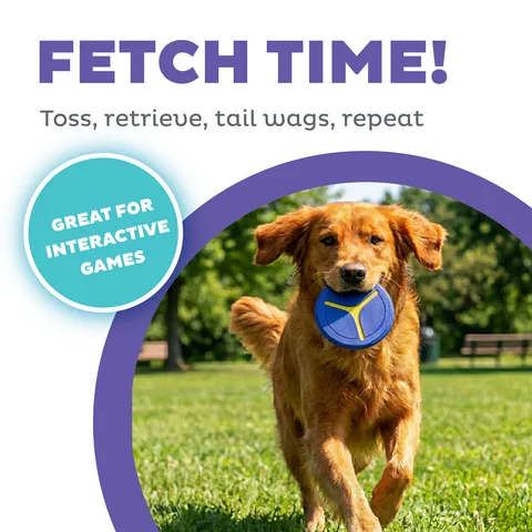 Outward Hound FlyFetch 飛盤玩具 2入組（紫） 2