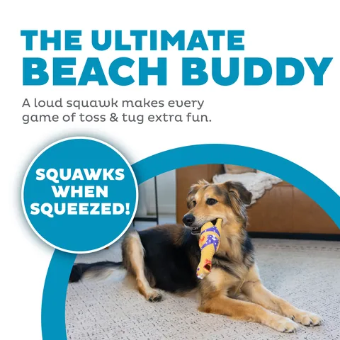 Outward Hound Squawkers Henrietta Dog Toy – Tan, Large 2
