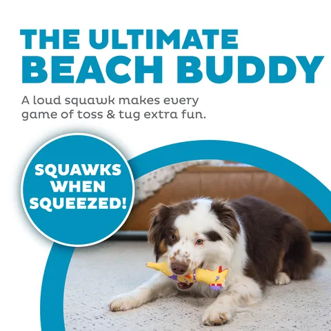 Outward Hound Squawkers Henrietta 泳裝雞造型發聲狗玩具（卡其／S） 2