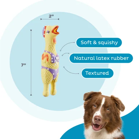 Outward Hound Squawkers Henrietta 泳裝雞造型發聲狗玩具（卡其／S） 3