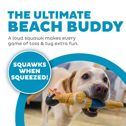 Outward Hound Squawkers Earl 泳裝雞造型發聲狗玩具（卡其／L） 2