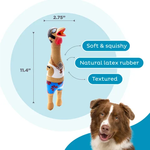 Outward Hound Squawkers Earl 泳裝雞造型發聲狗玩具（卡其／L） 3
