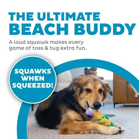 Outward Hound Squawkers Grandma Hippie Chick 泳裝雞造型發聲狗玩具（卡其／L） 2