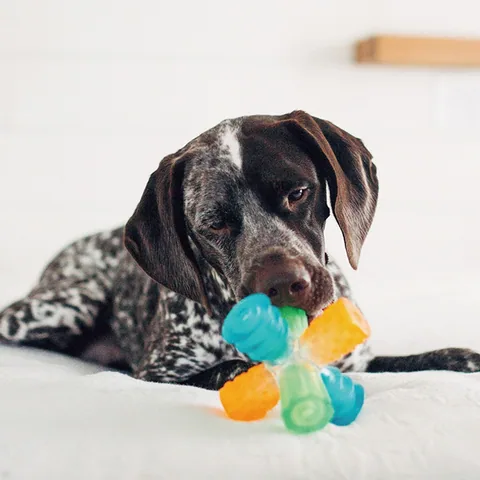 Outward Hound Triple Jack Dog Toy – Multicolor 3