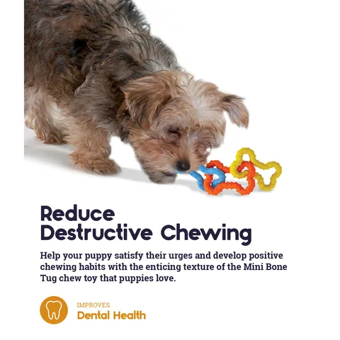 Petstages Mini Bone Tug 幼犬拉扯骨頭玩具（多色） 5