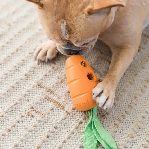 Petstages,Carrot Stuffer,益智胡蘿蔔,狗狗藏食,狗狗啃咬,狗狗益智,Dog-MBTI 3