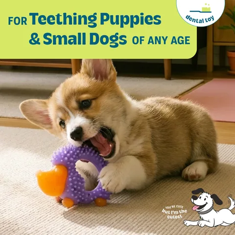 Petstages,Cutie Chewies Hedgehog,歐卡耐咬刺蝟,幼犬玩具,小型犬玩具,狗狗潔牙,Dog-MBTI 5