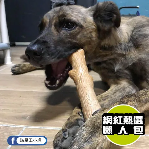 Petstages Dogwood 耐咬史迪克｜木質纖維啃咬玩具 XS／S／M／L 4