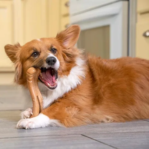 Pupstages Flip & Chew – Brown, Medium 2