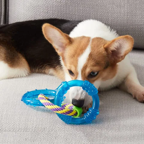 Petstages Orka Dental Links 歐卡健齒連接環|中/大型犬互動玩具 2