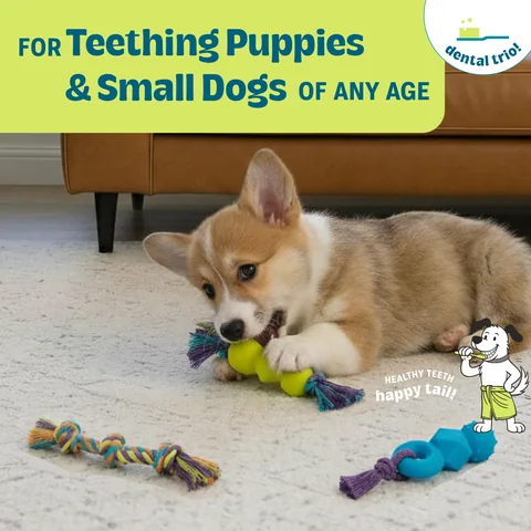 Pupstages Mini Dentachew Pack – Multicolor 4