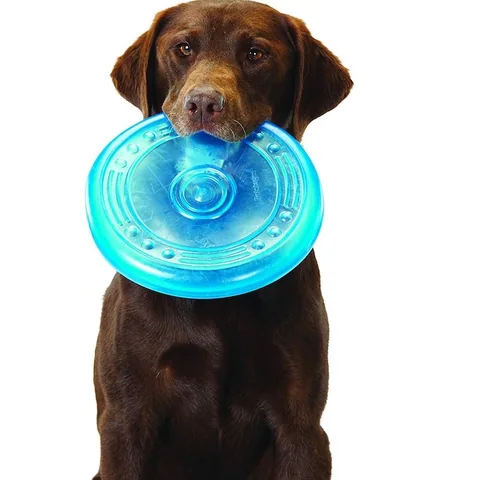Petstages,Orka Flyer,歐卡耐咬飛盤,狗狗拋接,中型犬玩具,大型犬玩具,Dog-MBTI 3