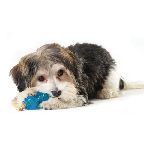 Petstages Mini Orka Chew Pair 歐卡迷你二合一組｜幼犬／小型犬玩具 2