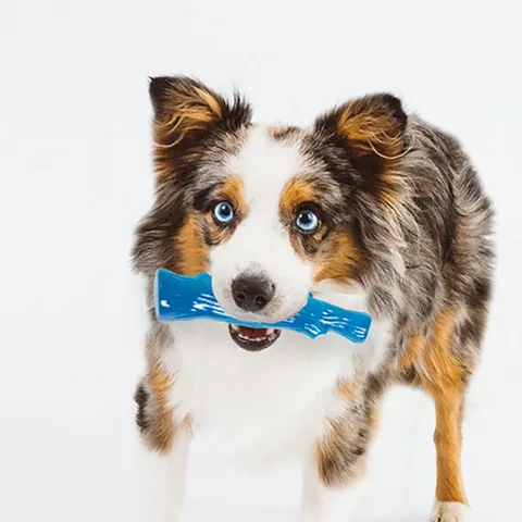 Petstages 耐咬史迪克 2 件組 S 號｜幼犬／小型犬 3–11 kg 2