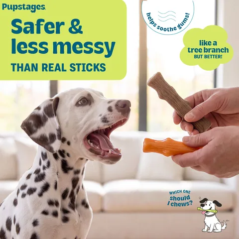 Petstages 耐咬史迪克 2 件組 S 號｜幼犬／小型犬 3–11 kg 5