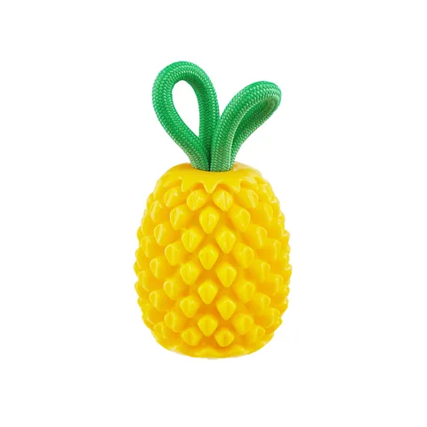 Planet Dog Dental Pineapple 咬咬鳳梨｜狗狗啃咬藏食玩具 1
