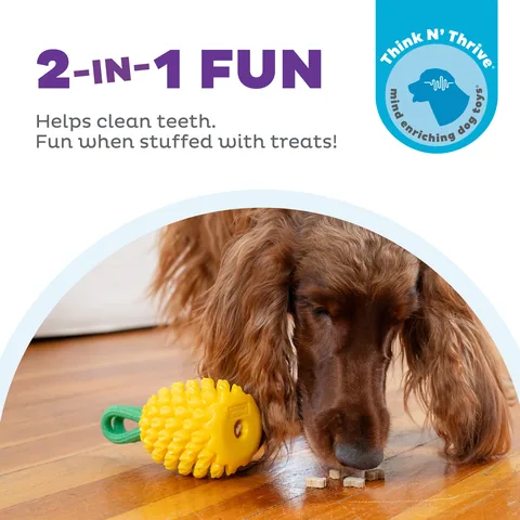 Planet Dog Dental Pineapple 咬咬鳳梨｜狗狗啃咬藏食玩具 3