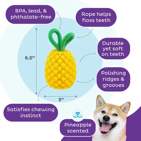 Planet Dog Dental Pineapple 咬咬鳳梨｜狗狗啃咬藏食玩具 4