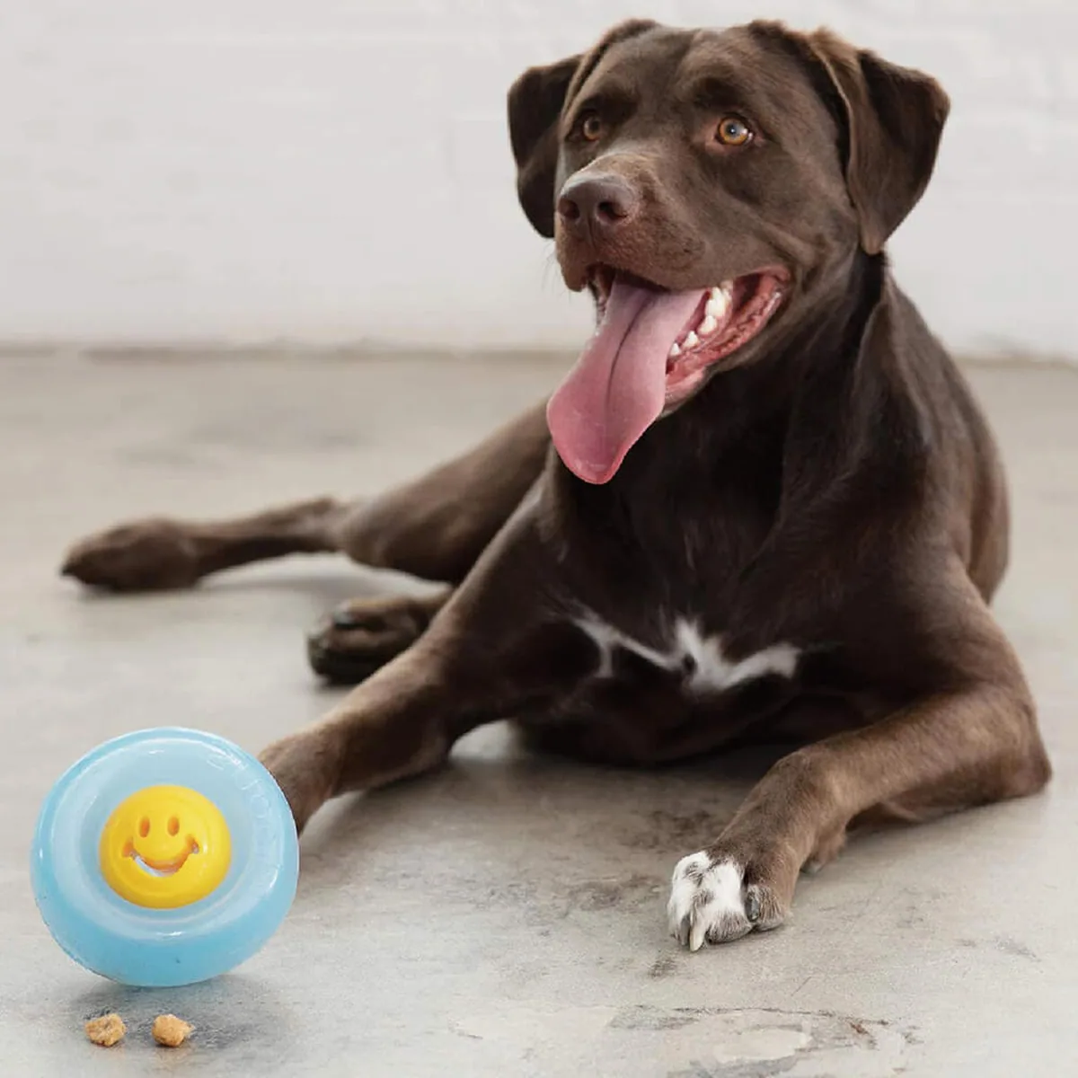 Planet Dog Orbee Nook 微笑黃｜6.4 cm狗狗藏食玩具