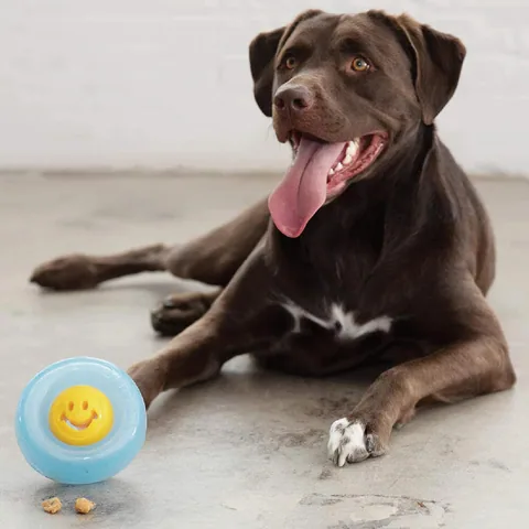 Planet Dog Orbee Nook 微笑黃｜6.4 cm狗狗藏食玩具