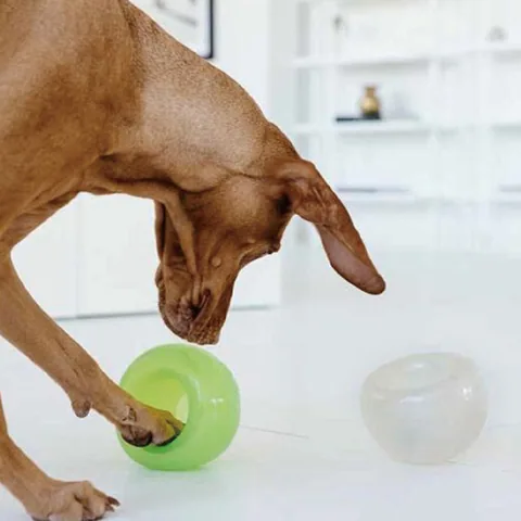 Planet Dog Snoop L｜四款顏色狗狗互動藏食玩具 2