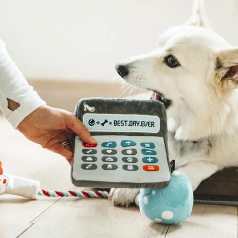 Play Pet Back to School 開學季系列 3