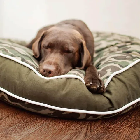 P.L.A.Y. Camouflage Round Bed 迷彩風圓床 灰綠 軍綠 S M L 寵物床 3