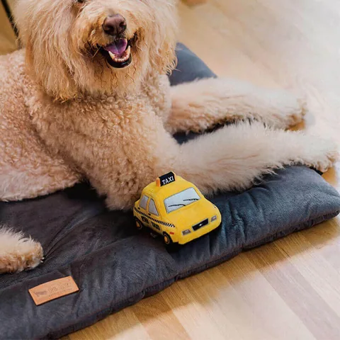 Play Pet Chill Pad 四季舒活墊 3