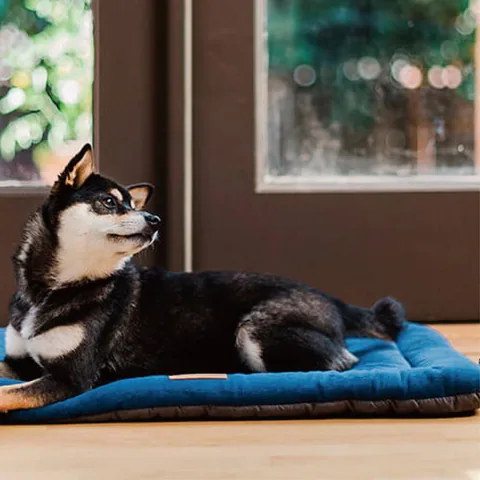 P.L.A.Y. Coastal Series Chill Pad 3