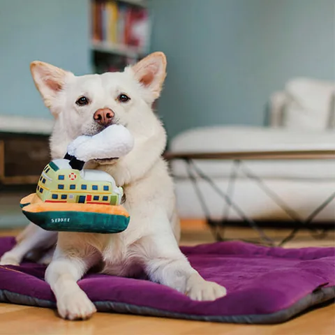 Play Pet Chill Pad 四季舒活墊 5