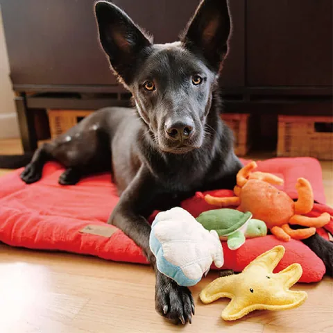 Play Pet Chill Pad 四季舒活墊 3