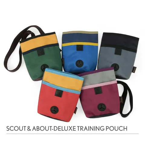 P.L.A.Y. Deluxe Training Pouch 多功能宠物训练袋