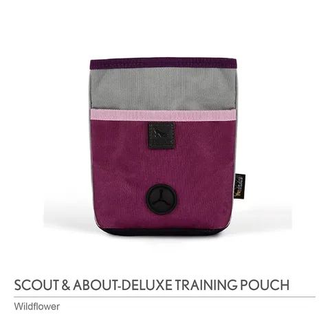 P.L.A.Y. Deluxe Training Pouch 5