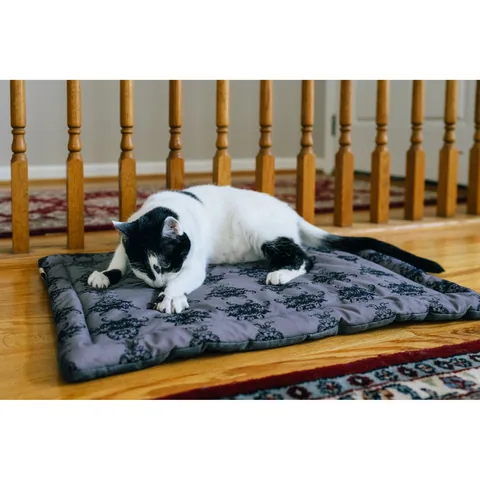 P.L.A.Y. Feline Frenzy Cat Nap Pad 2