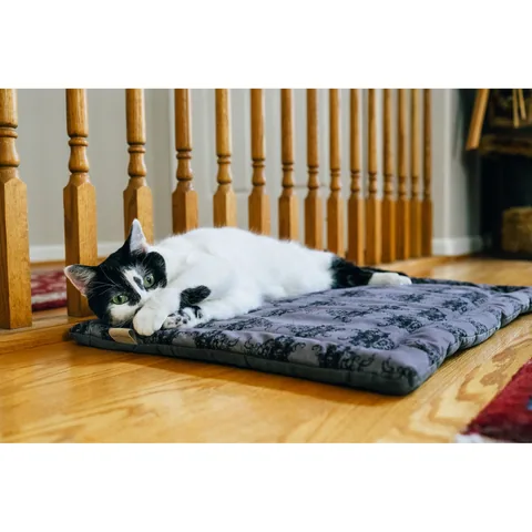 P.L.A.Y. Feline Frenzy Cat Nap Pad 4