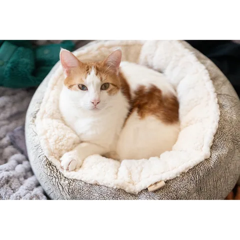 P.L.A.Y. Feline Frenzy Donut Cuddler Bed 2