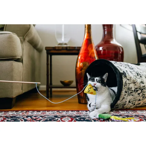 P.L.A.Y. 猫咪疯 白酒起司逗猫棒 2