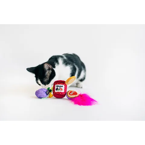 P.L.A.Y. 貓咪瘋 無花果貓草玩具三件組 2