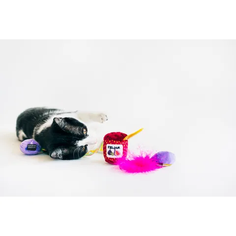 P.L.A.Y. 貓咪瘋 無花果貓草玩具三件組 3