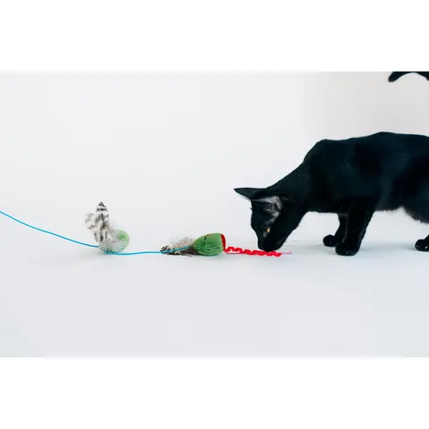 P.L.A.Y. 猫咪疯 橄榄逗猫棒 2
