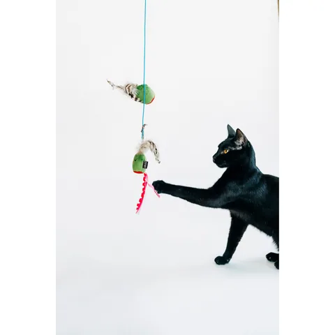 P.L.A.Y. 猫咪疯 橄榄逗猫棒 3