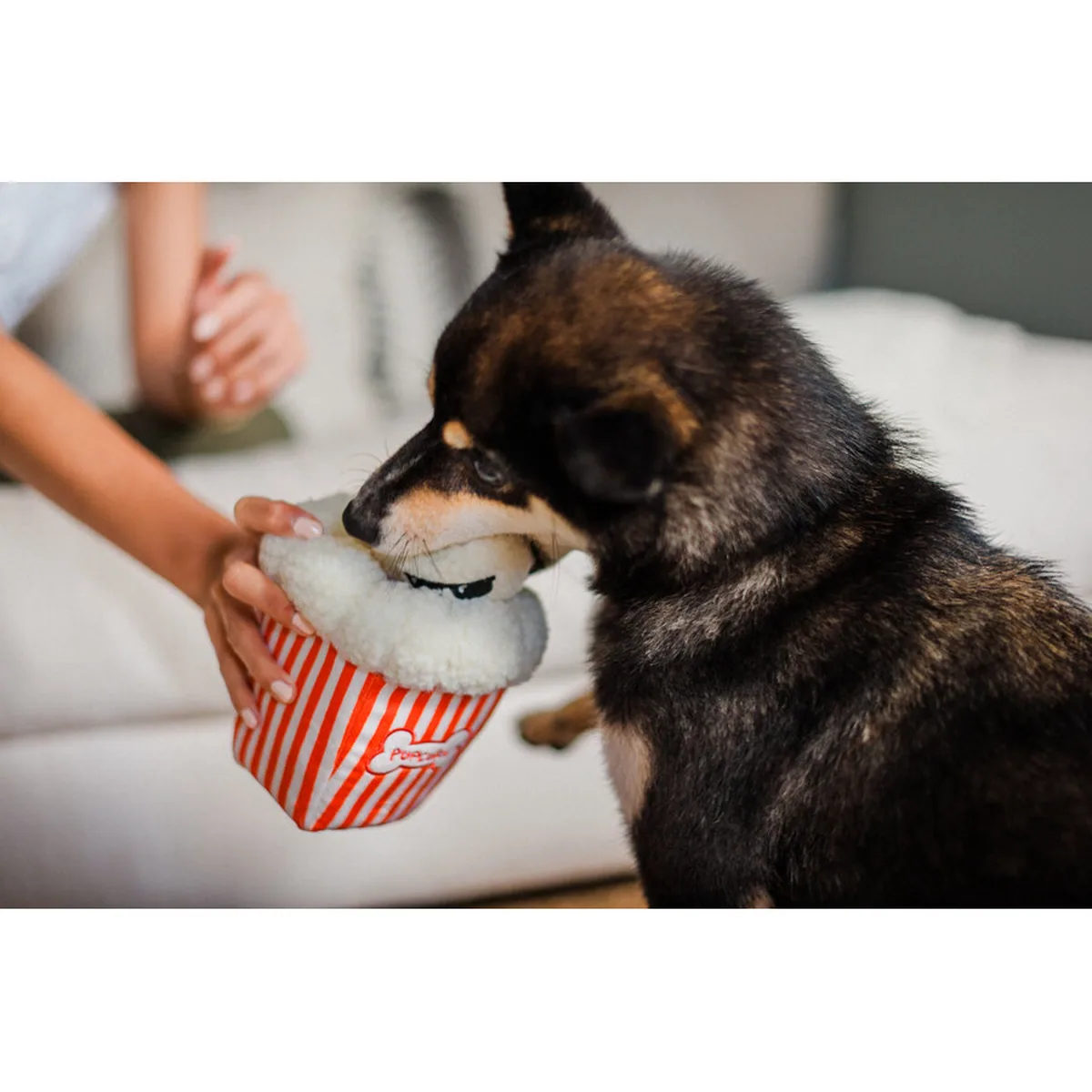 P.L.A.Y. Hollywoof Cinema Collection