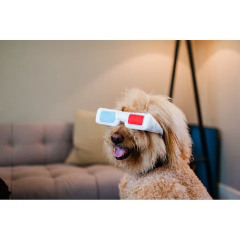 P.L.A.Y. Hollywoof Cinema Collection 3