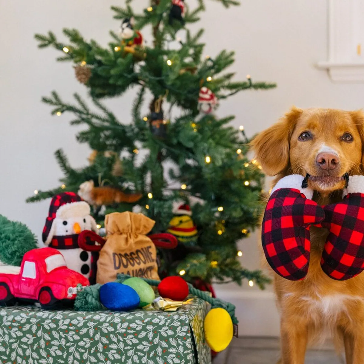 Play Pet Home for the Holidays