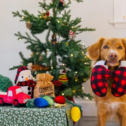Play Pet Home for the Holidays