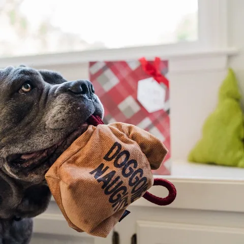 Play Pet Home for the Holidays 2