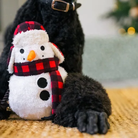 Play Pet Home for the Holidays 4