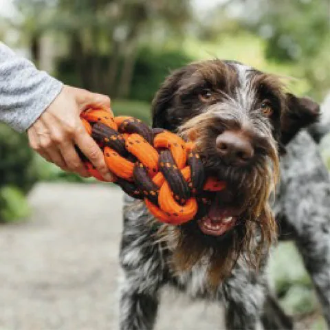 P.L.A.Y. Honeycomb Rope 4