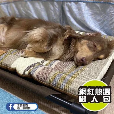 (海灘棕／5尺寸) 寵物睡床、坐墊 5